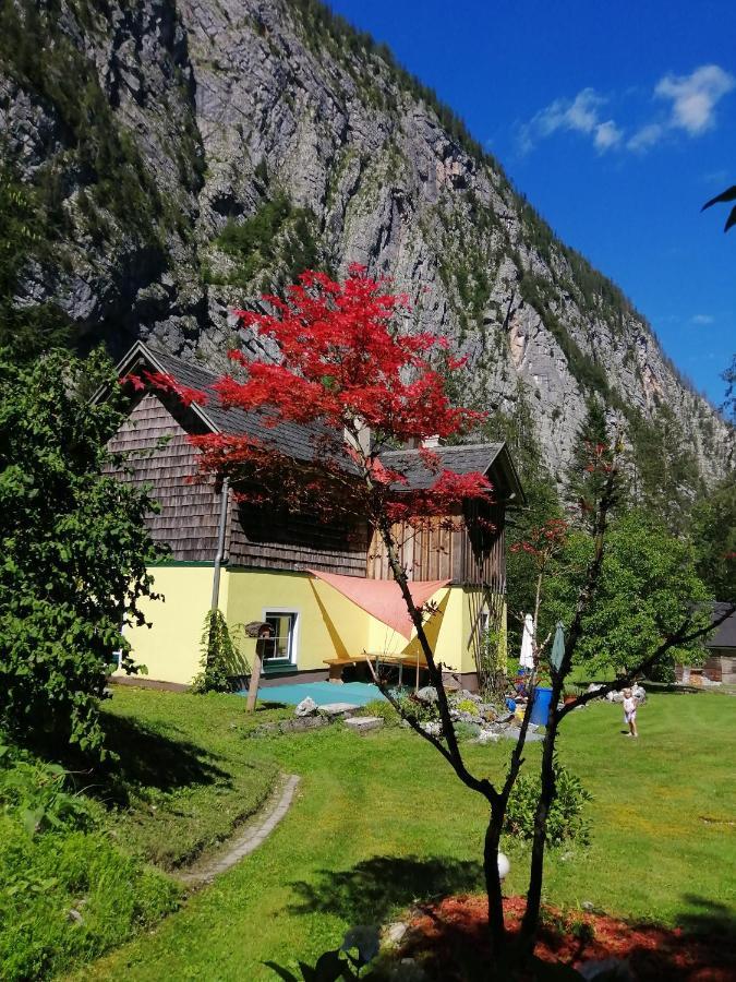 Ferienhaus Haus Waldbach Hallstatt