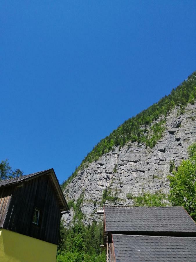 Haus Waldbach Ferienhaus
